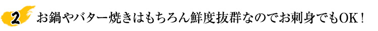 とげずわいマイスター激押し！瑞々しく口の中でじゅわっと広がる旨み！