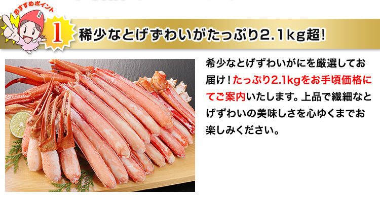 741：ボイルとげずわい満足セット2.1kg超（総重量約2.5kg）