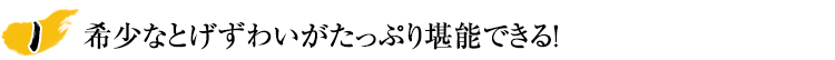 厳選のとげずわいがたっぷり3kg超でお買い得！