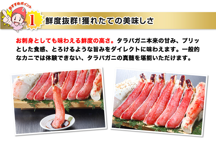 鮮度抜群！獲れたての美味しさ