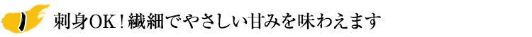 刺身OK！繊細でやさしい甘みを味わえます