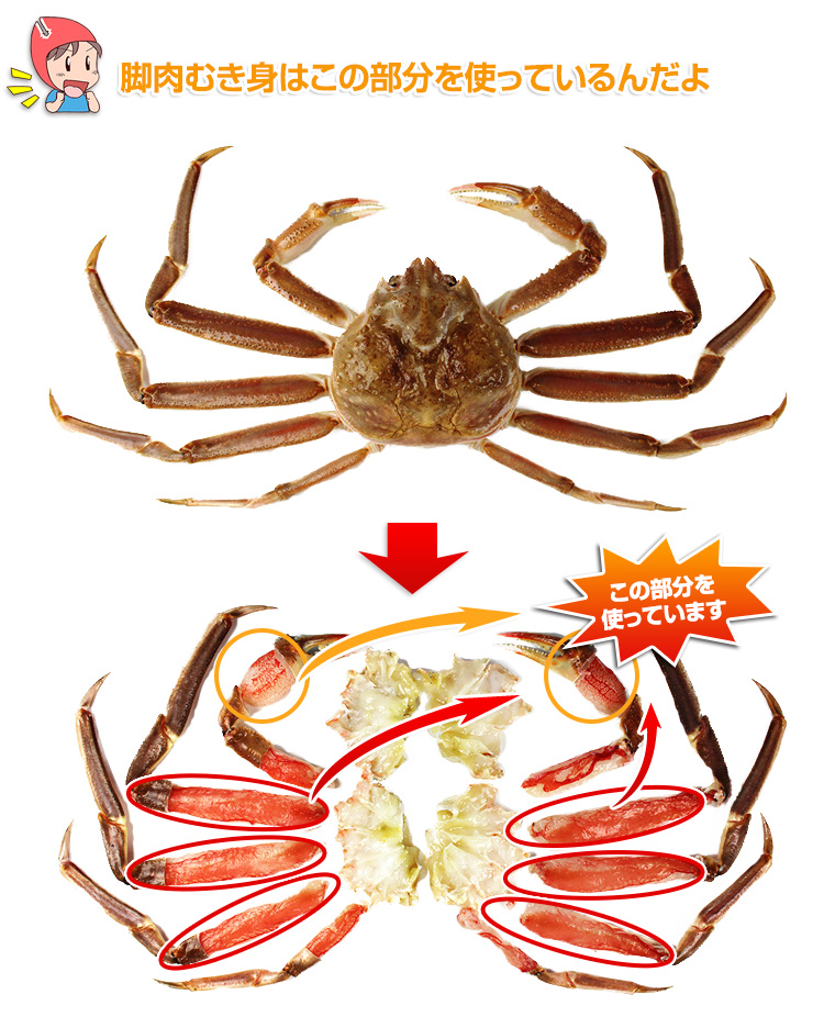 この部分を使っているんだよ。