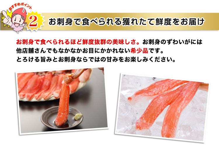 お刺身で食べられる獲れたて鮮度をお届け