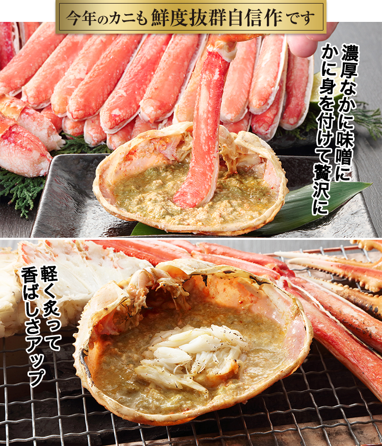 甲羅 1/12 KAWASAKI Ninja ZX-25R メタリックスパークブラック×パール