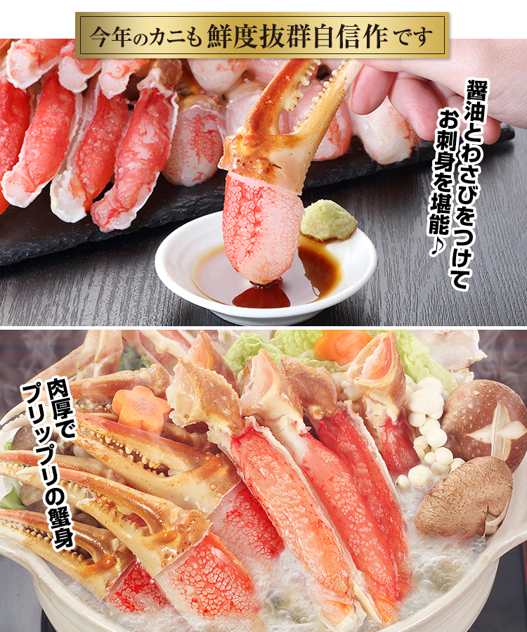 今年のかにも鮮度抜群自信作