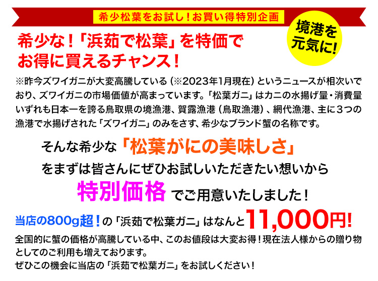 希少松葉をお試し！お買い得特別企画