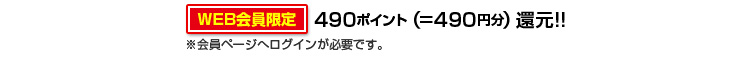 490ポイント