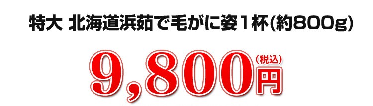9,800円