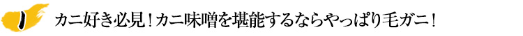 カニ好き必見！カニ味噌を堪能するならやっぱり毛ガニ！