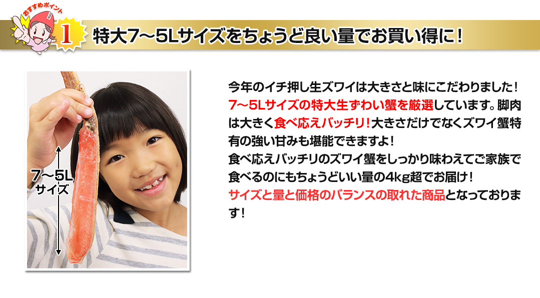 超特大7~5Lサイズがたっぷり超お買い得価格