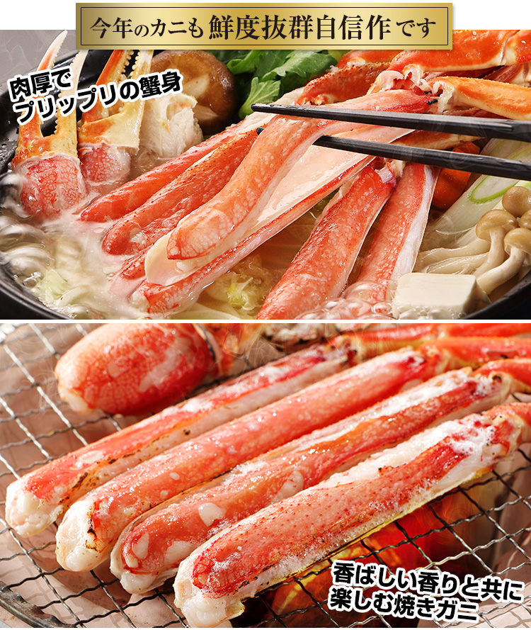 身離れバツグン