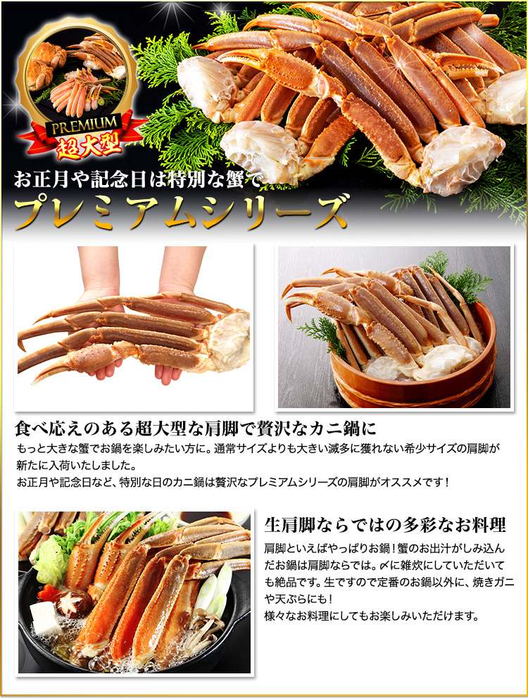 プレミアムシリーズ