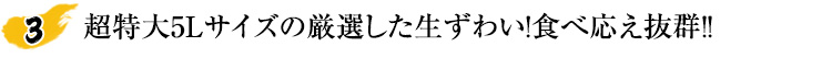 超特大5Lサイズの厳選した生ずわい！食べ応え抜群!!