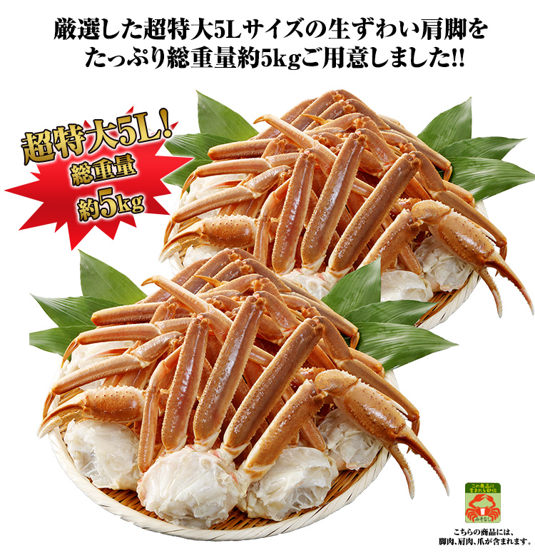 厳選した超特大5Lサイズの生ずわい肩脚をたっぷり総重量約5kgご用意しました！！