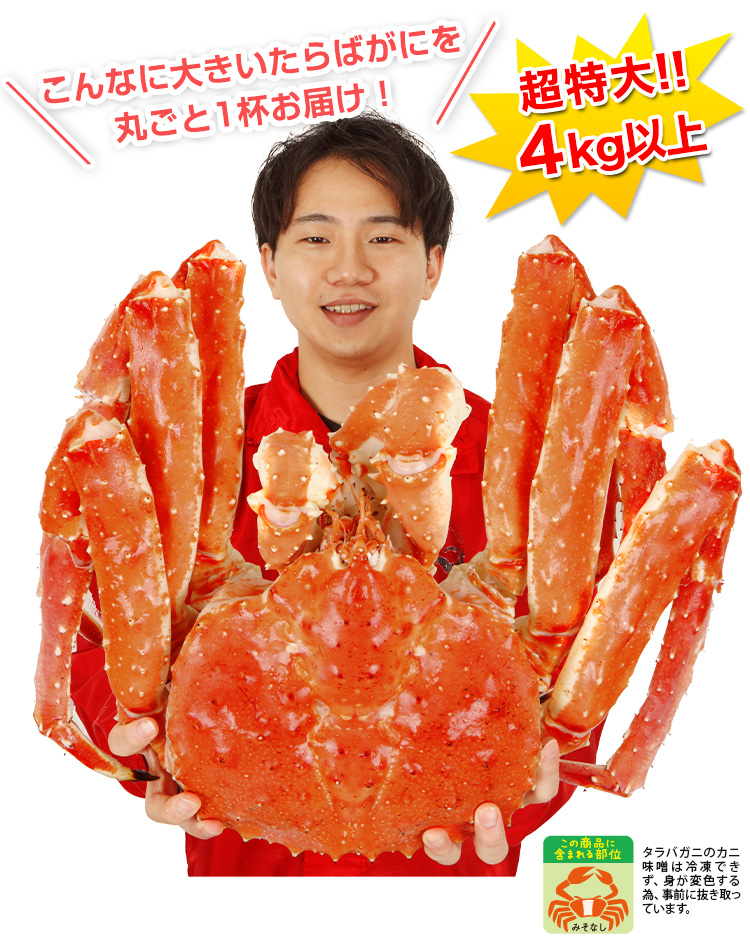 超特大サイズのたらばがにを丸ごと1杯お届け。殻の下にぎっしりと詰まった、プリプリでジューシーな身を存分にお楽しみください。