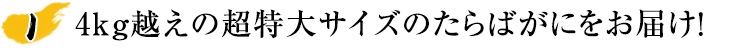 ボイル済みだから料理不要で簡単便利