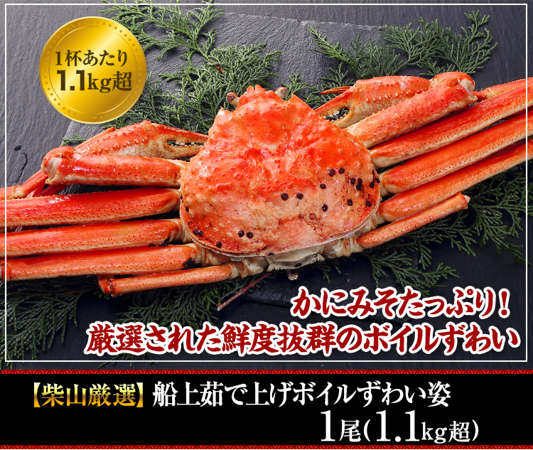 【境港厳選】浜茹で紅ずわいがに姿5～6杯（2.5kg超）