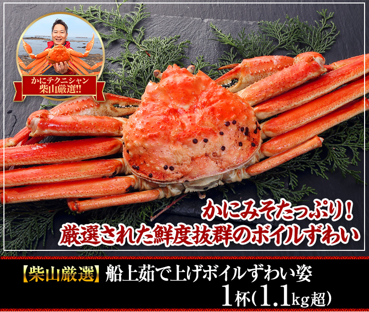 【境港厳選】浜茹で紅ずわいがに姿5～6杯（2.5kg超）