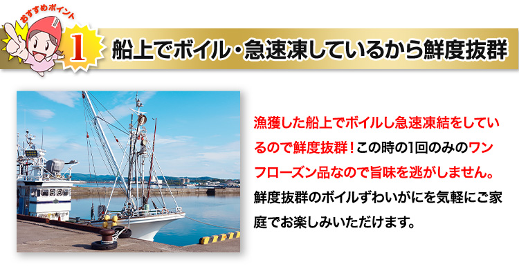 鳥取県境港で水揚げされた紅ずわい
