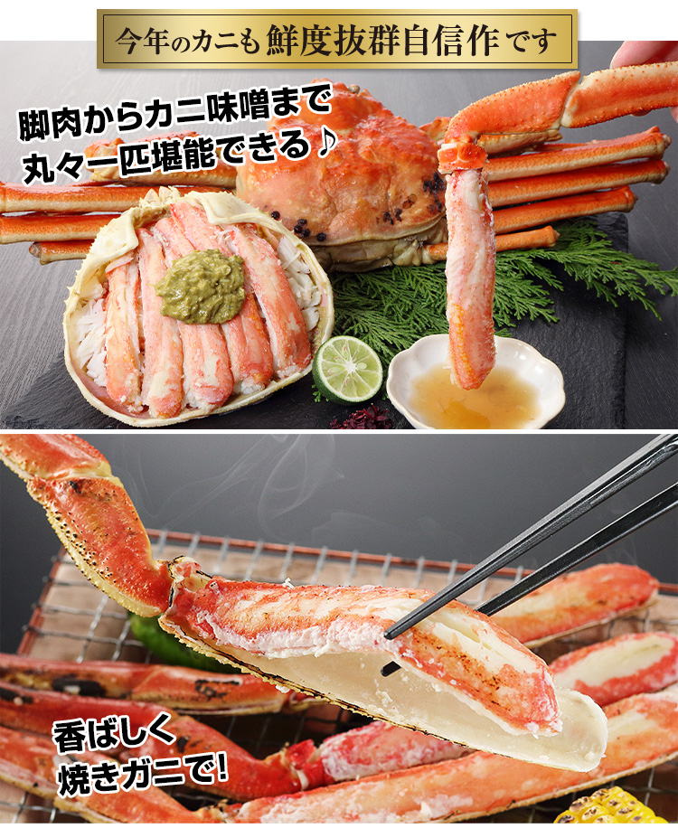 今年のかにも鮮度抜群自信作