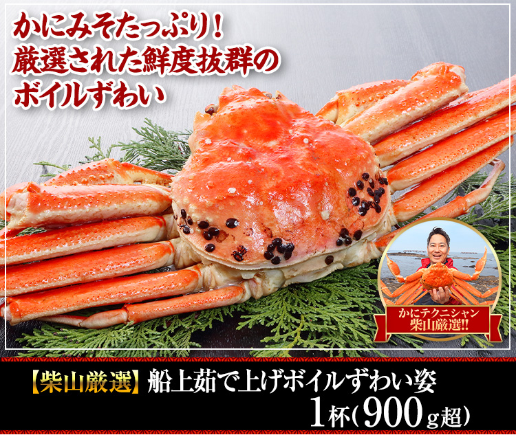 【境港厳選】浜茹で紅ずわいがに姿5～6杯（2.5kg超）