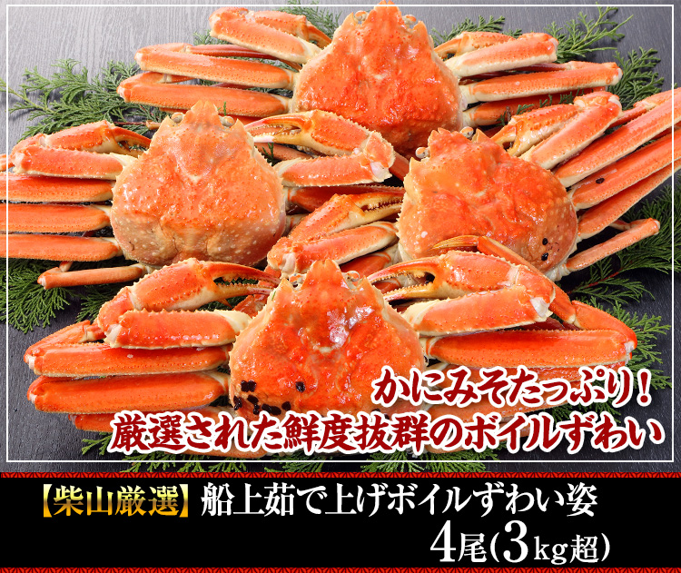 【境港厳選】浜茹で紅ずわいがに姿5～6杯（2.5kg超）