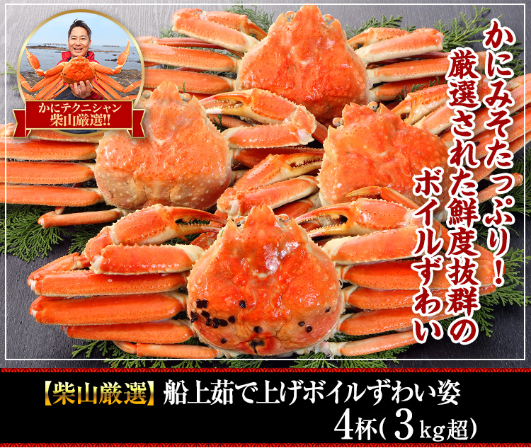 【境港厳選】浜茹で紅ずわいがに姿5～6杯（2.5kg超）