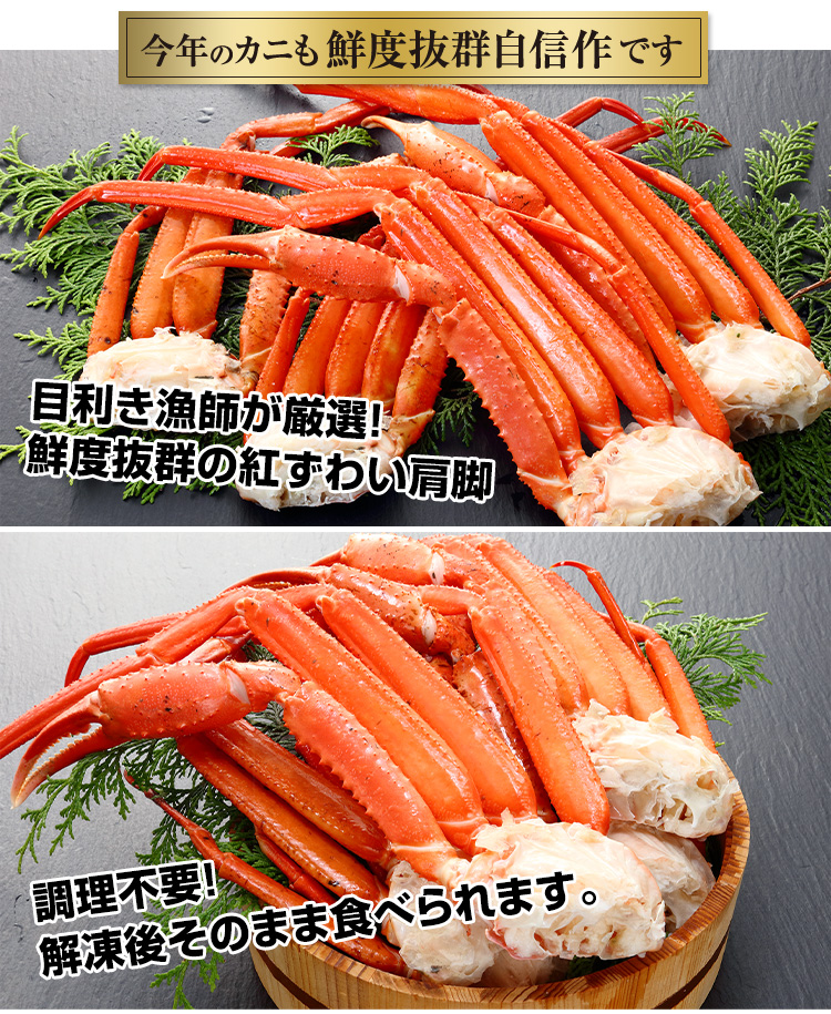 今年のかにも鮮度抜群自信作
