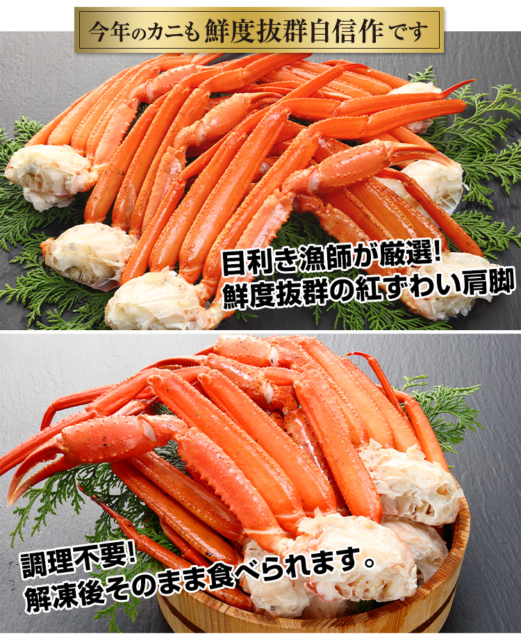 今年のかにも鮮度抜群自信作