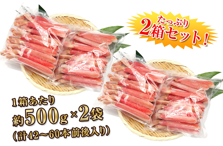 1箱当たり約500g×2袋（計約42～60本前後入り）×2箱
