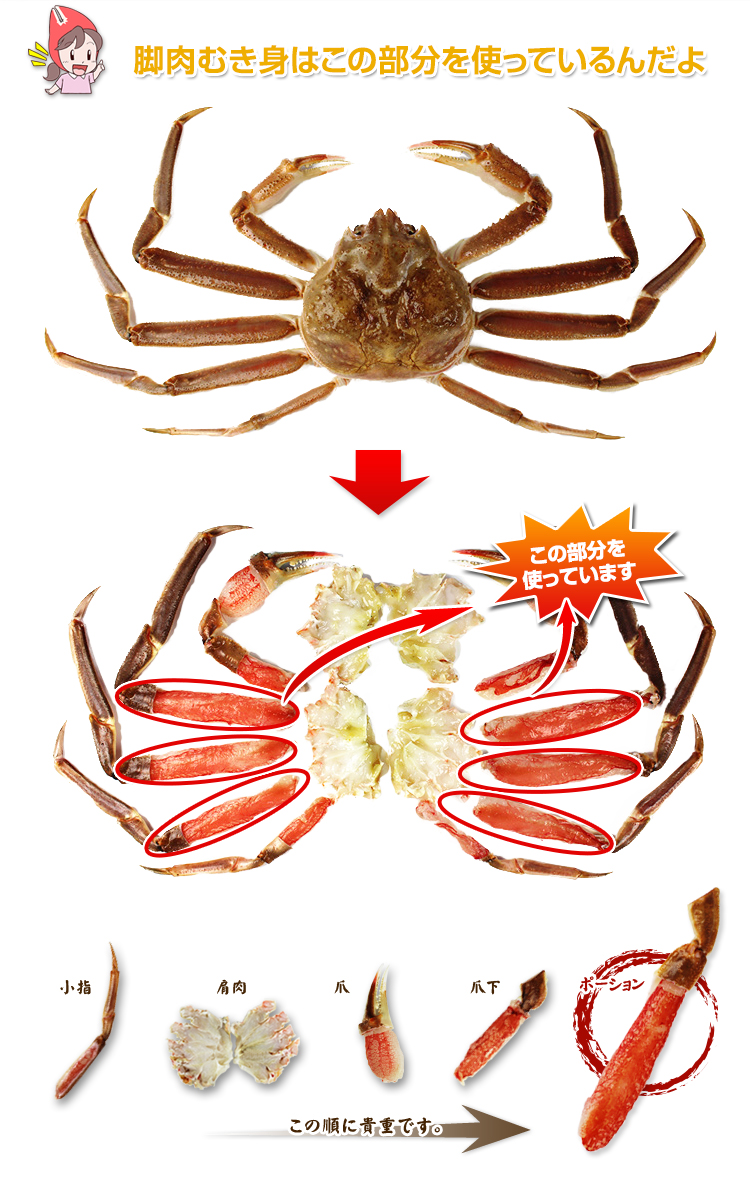 脚肉むき身はこの部分を使っているんだよ。小指、肩肉、爪、爪下、ポーションの順に貴重です。