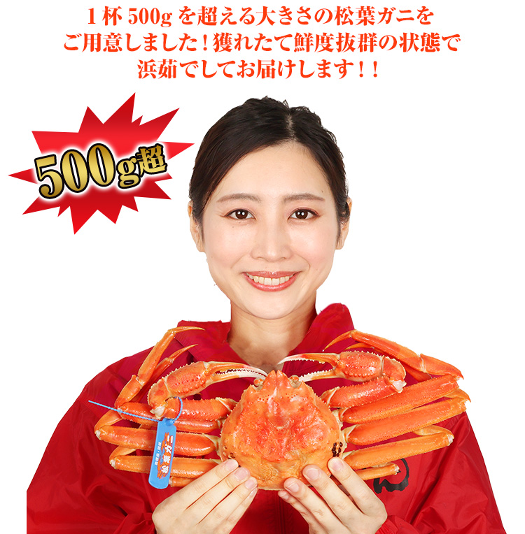 1杯500gを超えるサイズの松葉ガニをご用意しました！