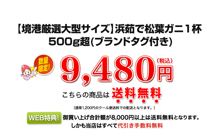 
9480円