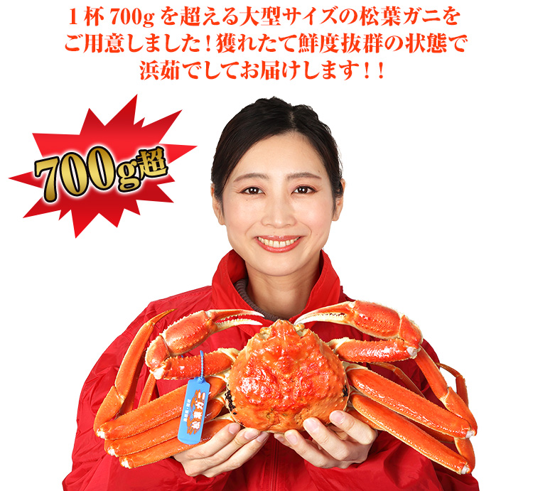 1杯700gを超える大型サイズの松葉ガニをご用意しました！