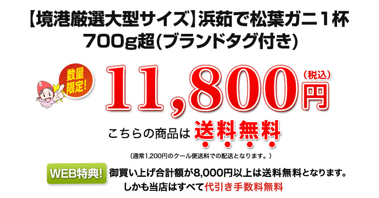 11,800円
