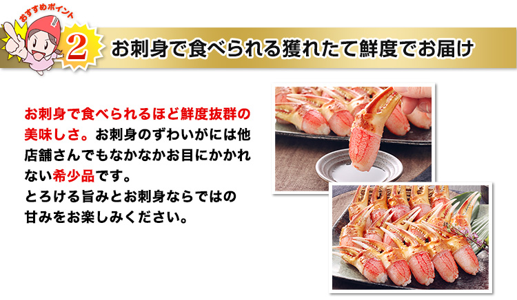 お刺身で食べられる獲れたて鮮度でお届け