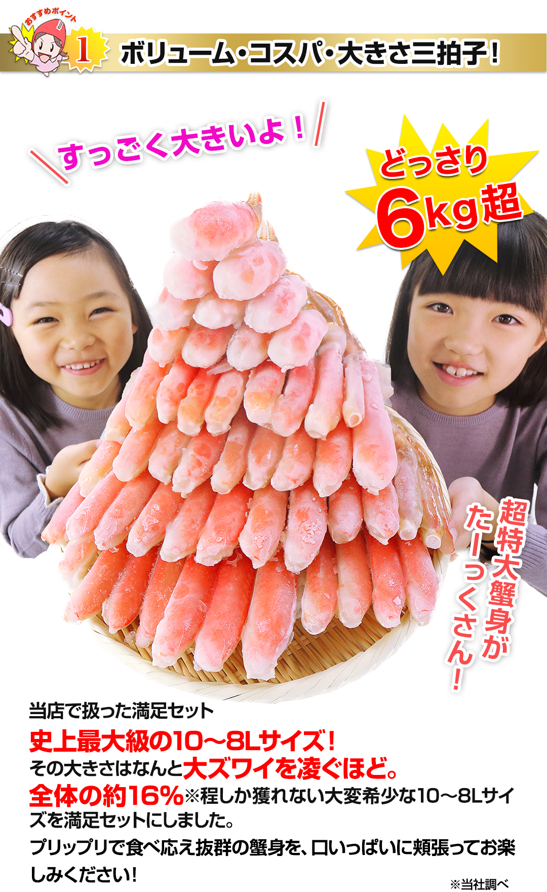 ボリューム・コスパ・大きさ三拍子