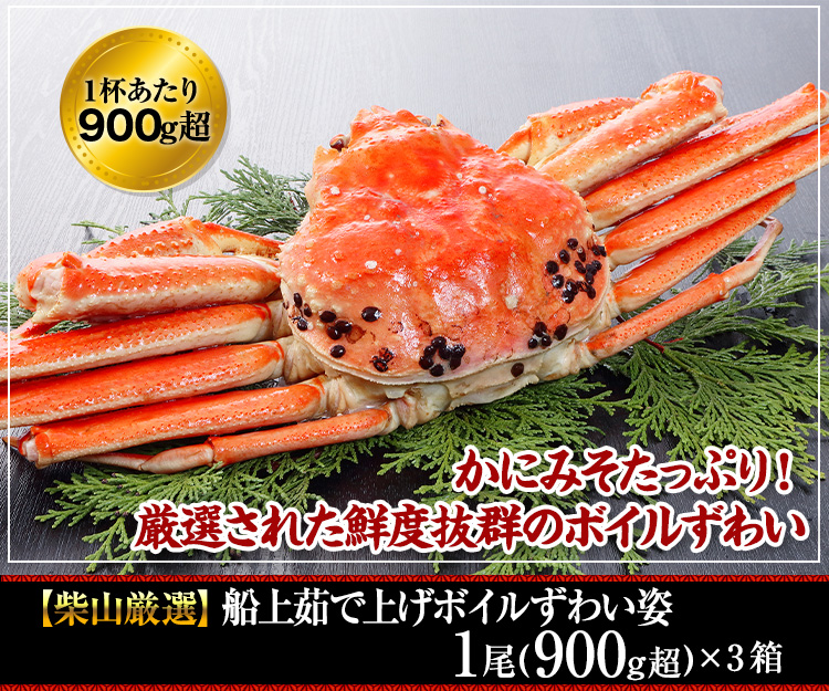 【境港厳選】浜茹で紅ずわいがに姿5～6杯（2.5kg超）