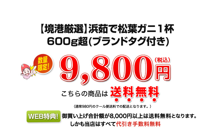 9,800円