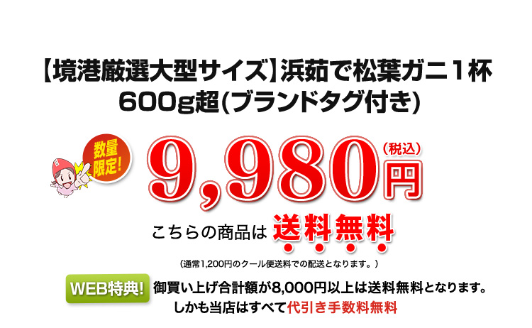 9,980円