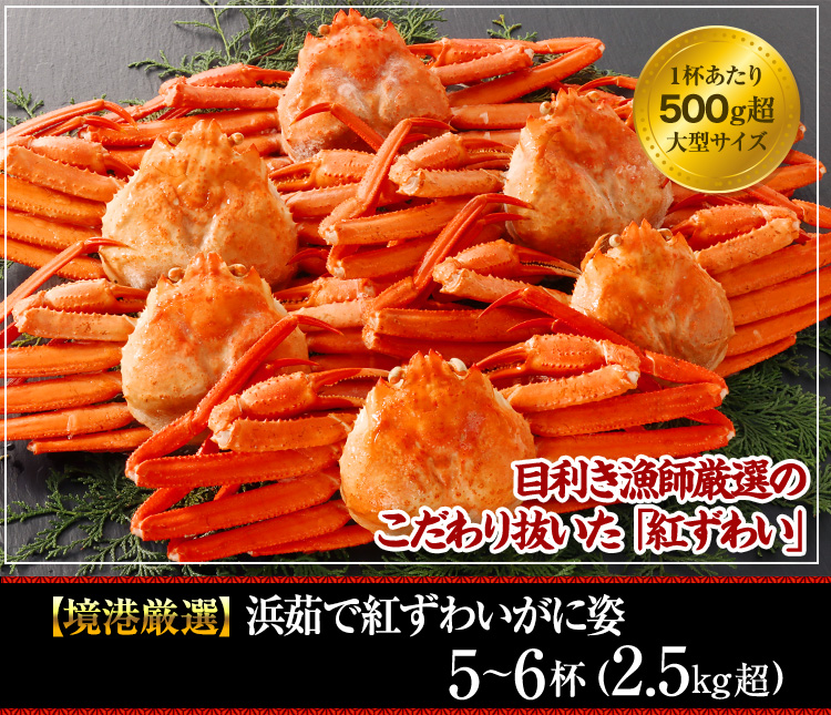 【境港厳選】浜茹で紅ずわいがに姿5～6杯（2.5kg超）