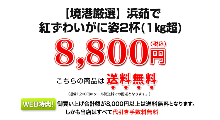 8,800円