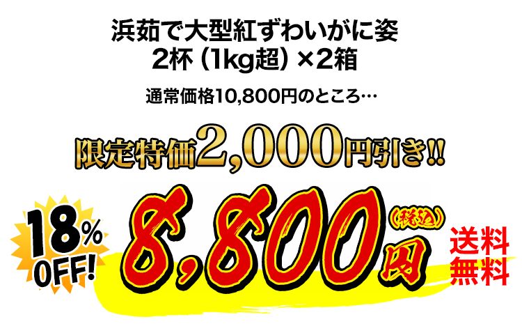 8,800円