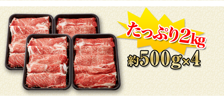 約500g×4パック