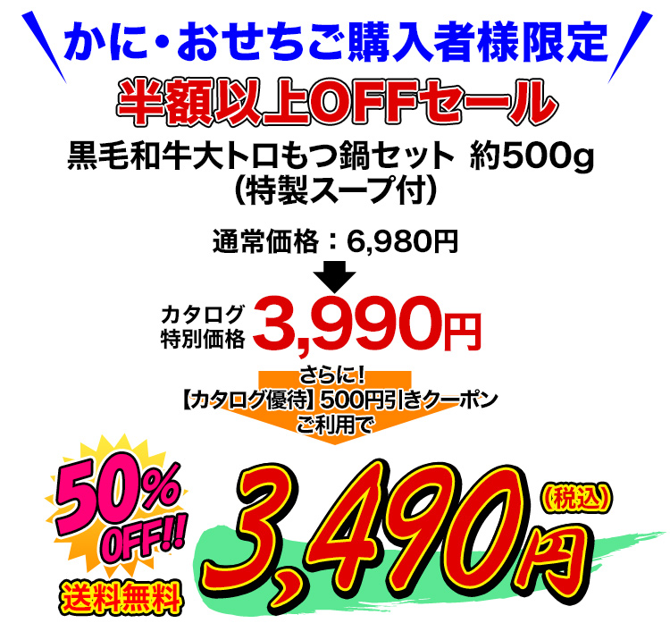 カタログ特別価格3,490円