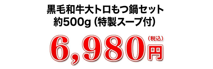 6,980円（税込）