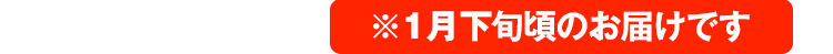 1月下旬頃のお届けです