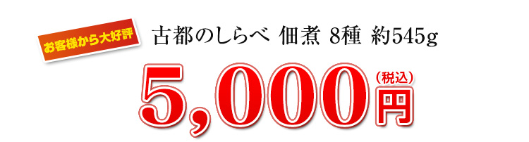 大特価5000円(税込)