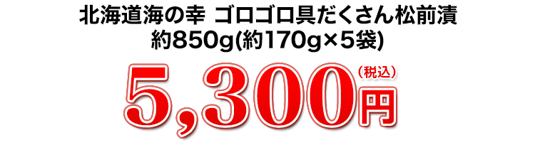 5,300円（税込）