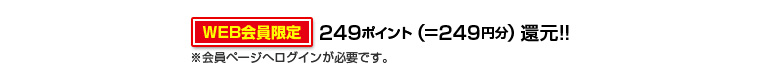 249ポイント